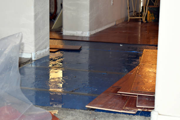 Professional Basement Flood Cleanup technician working in Greenwood, IN